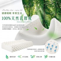 枕類一入｜100%天然乳膠｜人體工學按摩型100%天然乳膠枕